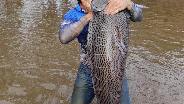 Agricultor pesca peixe de 1,75 metro e mais de 60 Kg: ‘Bati meu próprio recorde’