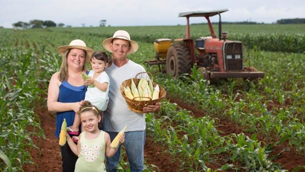 Agricultura familiar do PR deve receber R$ 154 milhões de emendas parlamentares