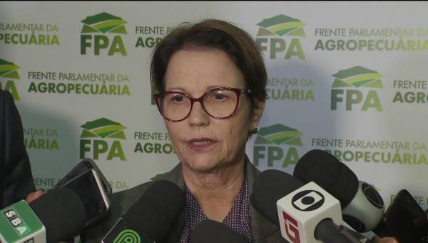 AGRONEGÓCIO: Ministra espera que China avalie nos próximos dias a documentação enviada pelo Brasil
