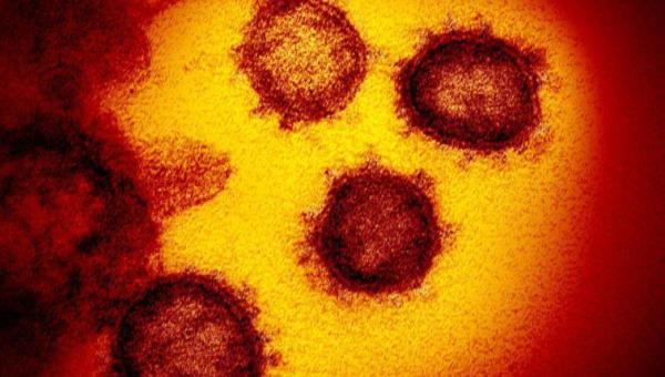 ALERTA! Novo coronavírus: variante britânica já é detectada em 60 países,