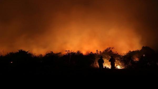ALERTA VERMELHO: Pantanal tem 8.106 pontos de incêndio em setembro; ano já tem o maior número de focos da história