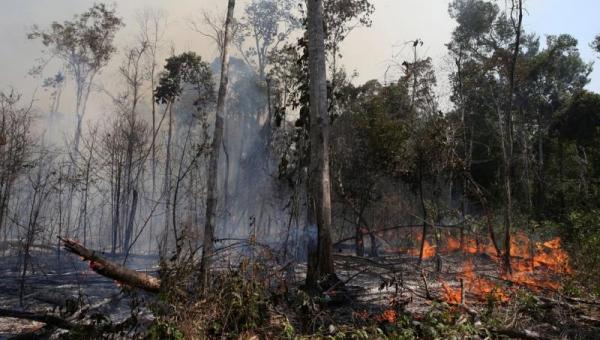 Bolsonaro autoriza envio de tropas das Forças Armadas para combater incêndio e desmatamento na Amazônia Legal