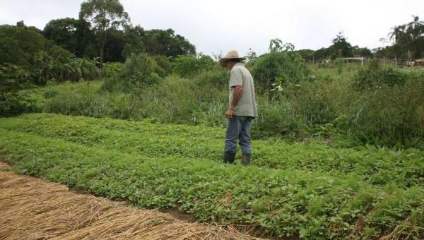 Brasil e Argentina discutirão agenda comum para agricultura familiar