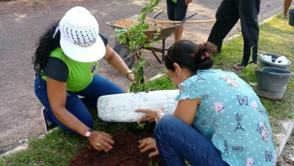 CENTRO DOS BORGES: mudas são plantadas na principal avenida do povoado