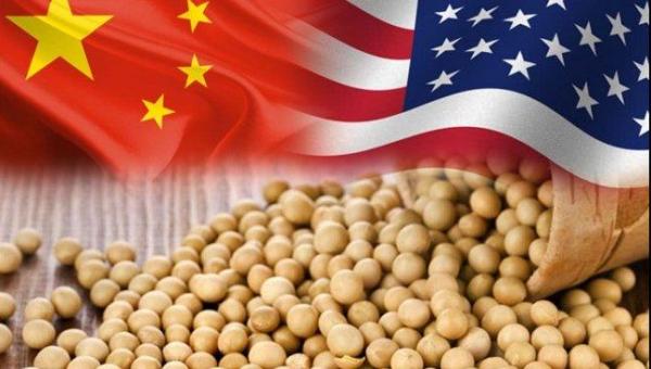 China libera importação de 10 mi de t de soja dos EUA isentas de tarifação