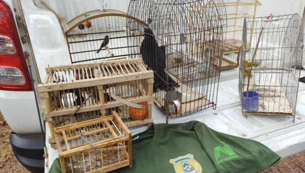 Ações de fiscalização coíbem pesca predatória, desmatamento ilegal e tráfico de aves no Tocantins