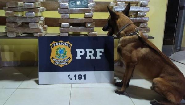 Apreensões de drogas em Guaraí são realizadas durante ações da Operação Narco Brasil 