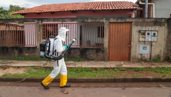 Araguaína: casos de dengue quase duplicam em nove dias