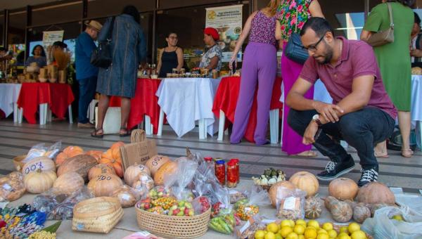 Assembleia Legislativa promove a Feira de Mulheres Agroextrativistas nesta terça, 27, em Palmas