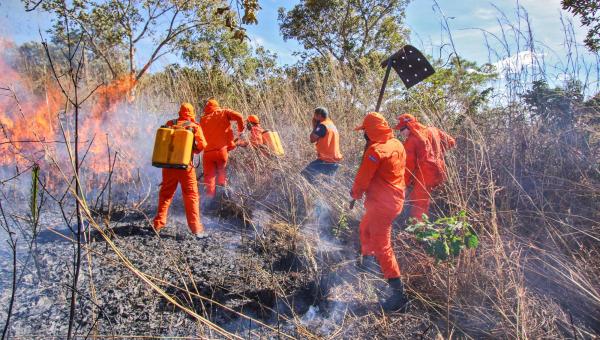 Brigadistas florestais temporários  serão contratados para atuar em prevenção de incêndios florestais