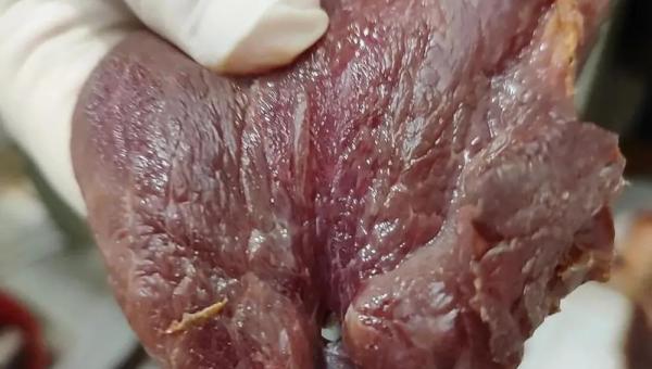 Carnes podres e com larvas são apreendidas em açougue e descartadas em aterro sanitário em Guaraí