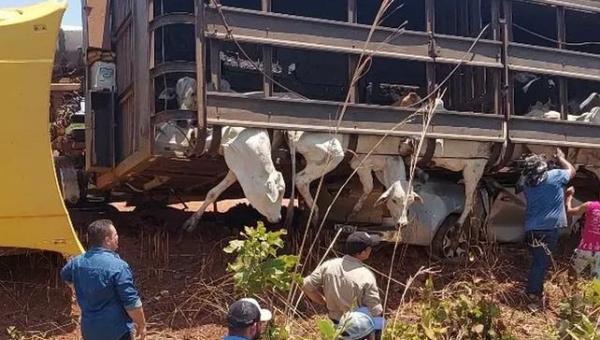 Casal morre após carreta com gado tombar em cima de caminhonete na TO-080