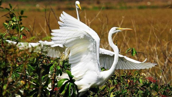 Com ações do Governo do Tocantins, Estado entra na Rota Nacional do Turismo