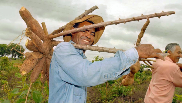 Com ações e programas, Governo investe no fortalecimento e desenvolvimento da agricultura familiar
