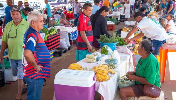 Com apoio do Governo do Tocantins, Feiras Ecosol geram renda para centenas de famílias no Bico do Papagaio 