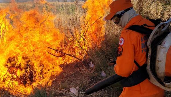 Combate a incêndio florestal em Taquaruçu está sendo realizado com atuação de Força-Tarefa do Corpo de Bombeiros Militar