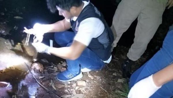 Corpo em avançado estado de decomposição é encontrado em Xambioá