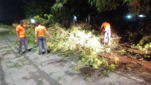 Defesa Civil de Palmas atende ocorrência de ventania no Jardim Taquari



