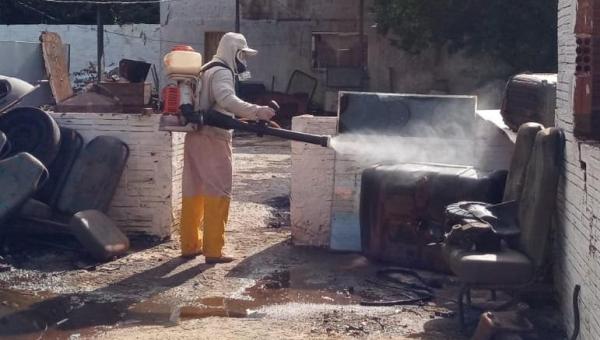 Dengue: Prefeitura de Gurupi alerta sobre riscos da proliferação do Aedes Aegypti
