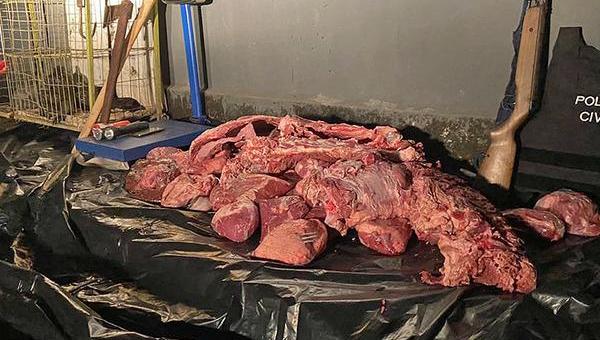 Em Ipueiras, Polícia Civil do Tocantins localiza ponto de abate clandestino de gado furtado