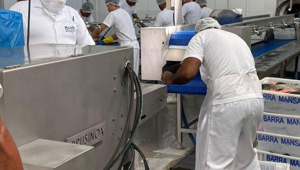 Entreposto de pescado em Brejinho de Nazaré faz adesão ao Serviço de Inspeção Estadual