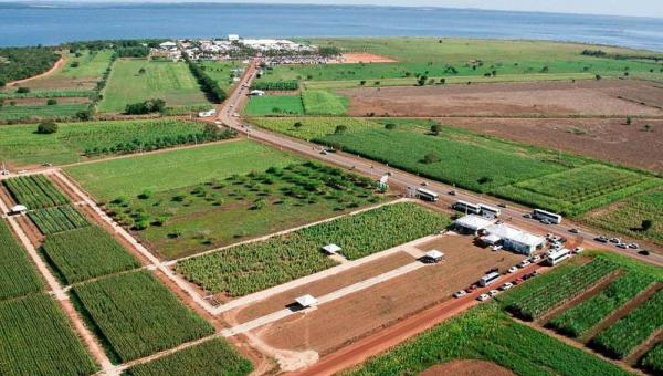 Fatores climáticos e localização geográfica fazem do Tocantins uma das últimas fronteiras agrícolas do mundo
