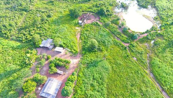 Fazenda à venda com 157 alqueires no município de Ananás, campos planos destinado agricultura e pecuária, rica em água e muito mais