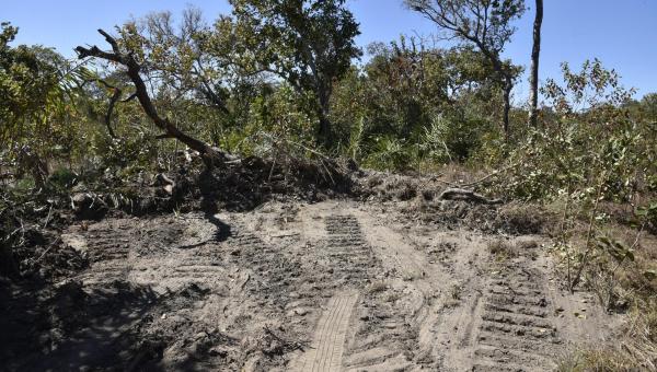 Fazendeiros terão que recompor área correspondente a 460 campos de futebol em Lagoa da Confusão