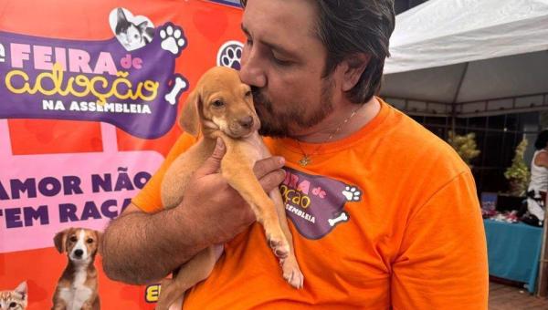 Feira de Adoção da Aleto emociona e garante novos lares para cães e gatos resgatados