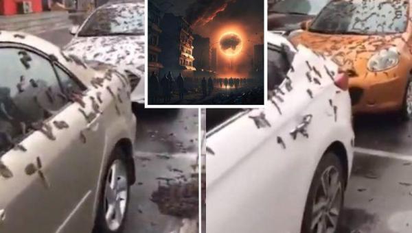Fim do mundo, ‘Chuva de vermes’ causa medo e terror na China