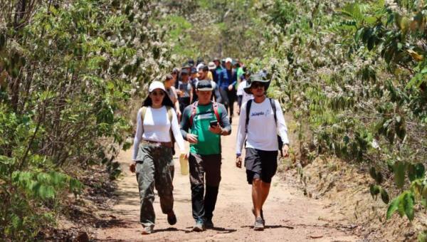 Governo do Tocantins comemora saldo positivo de mais de 11 mil empregos formais no turismo