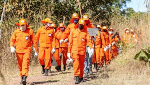 Governo do Tocantins divulga edital para contratação de brigadistas florestais