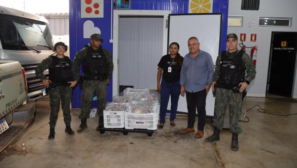 Governo do Tocantins doa peixes apreendidos em operação ambiental ao programa Sesc Mesa Brasil