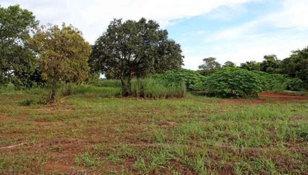 Governo do Tocantins doa terreno para construção do Hospital Municipal de Palmas