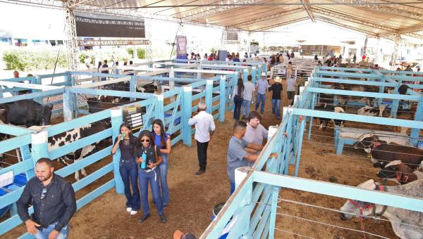 Governo do Tocantins encerra Agrotins 25 anos com recorde de R$ 5 bilhões em movimentação de negócios

