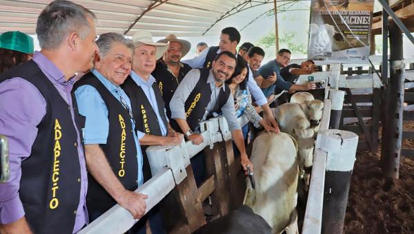 Governo do Tocantins lança penúltima campanha de imunização da aftosa e destaca que Estado está livre da doença

 