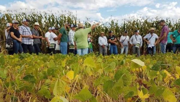 Governo do Tocantins organiza caravanas de agricultores familiares dos 139 municípios tocantinenses para participação na Agrotins 2022