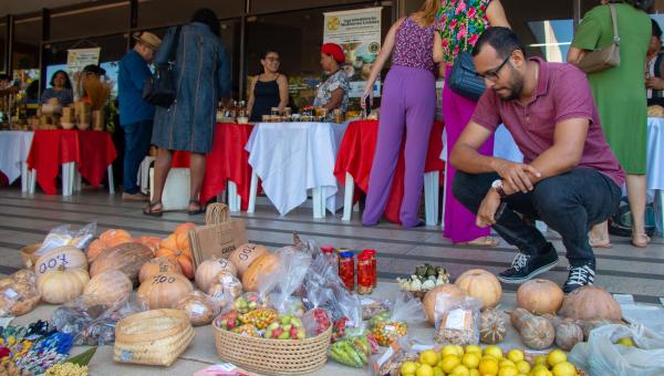 Governo do Tocantins promove Feira das Mulheres Agroextrativistas e de Agricultura Familiar de Ponte Alta do Tocantins em Palmas
