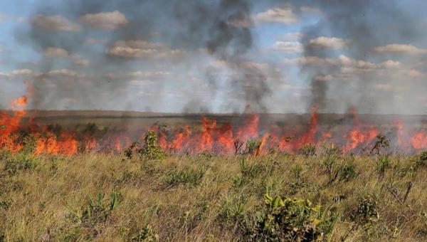Governo do Tocantins suspende a emissão e a vigência das autorizações de queima controlada em todo o Tocantins