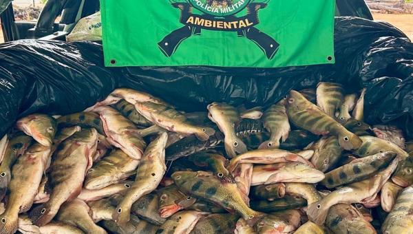 Homem é preso por adquirir mais de meia tonelada de pescado ilegal de indígenas 