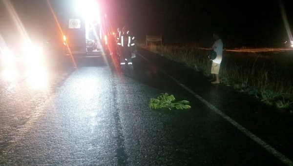 Homem que estava em festa, em Babaçulândia, é encontrado morto em rodovia após acidente de trânsito