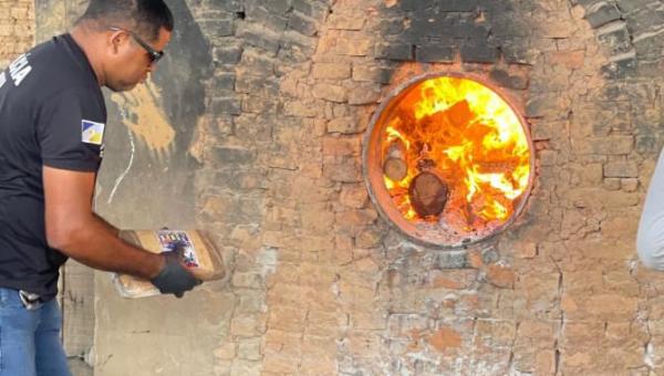 Mais de meia tonelada de drogas é incinerada em Araguaína