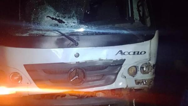 Motorista atinge animal na pista, tenta sinalizar o local do acidente e morre atropelado