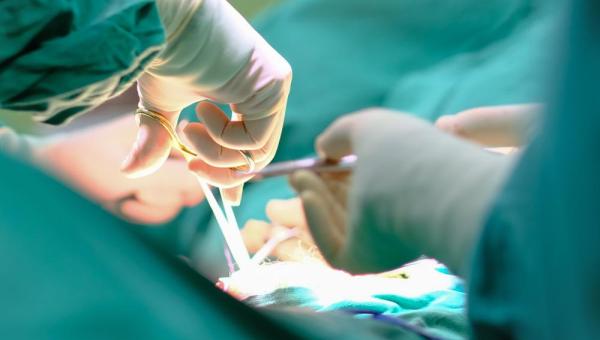 Mutirão de cirurgias de hérnias será realizado pelo Governo do Tocantins em parceria com a Sociedade Brasileira de Hérnia e Parede Abdominal