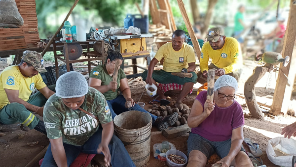 Naturatins apoia mulheres agroextrativistas de Araguacema na coleta e produção de óleo do coco babaçu