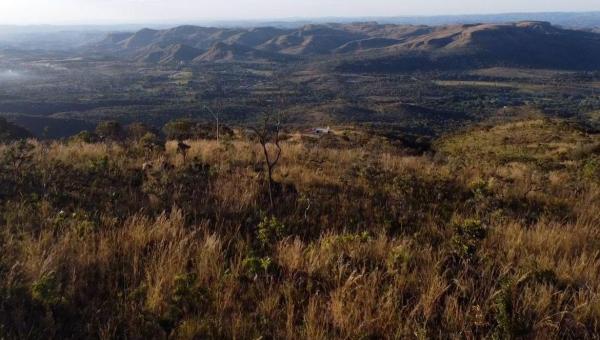 Olhar voltado para a Amazônia ameaça sobrevivência do Cerrado