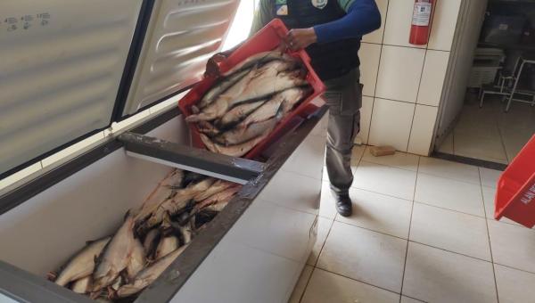 Operação Malha Fina realiza apreensão e doação de 880kg de pescado