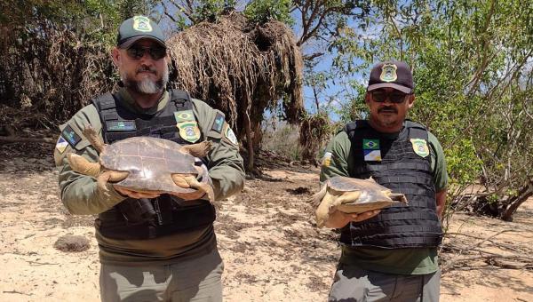 Operação Malha Fina resulta em apreensões de pescado, redes e armadilhas para captura de tartarugas e orientação quanto ao capim-dourado