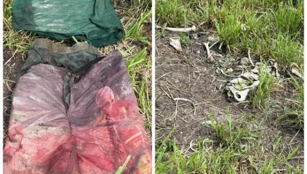 Ossada humana é encontrada em fazenda na zona rural de Colinas do Tocantins