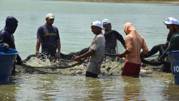 Palmas sediará o “I Encontro Nacional Sobre Pegada de Carbono na Aquicultura”